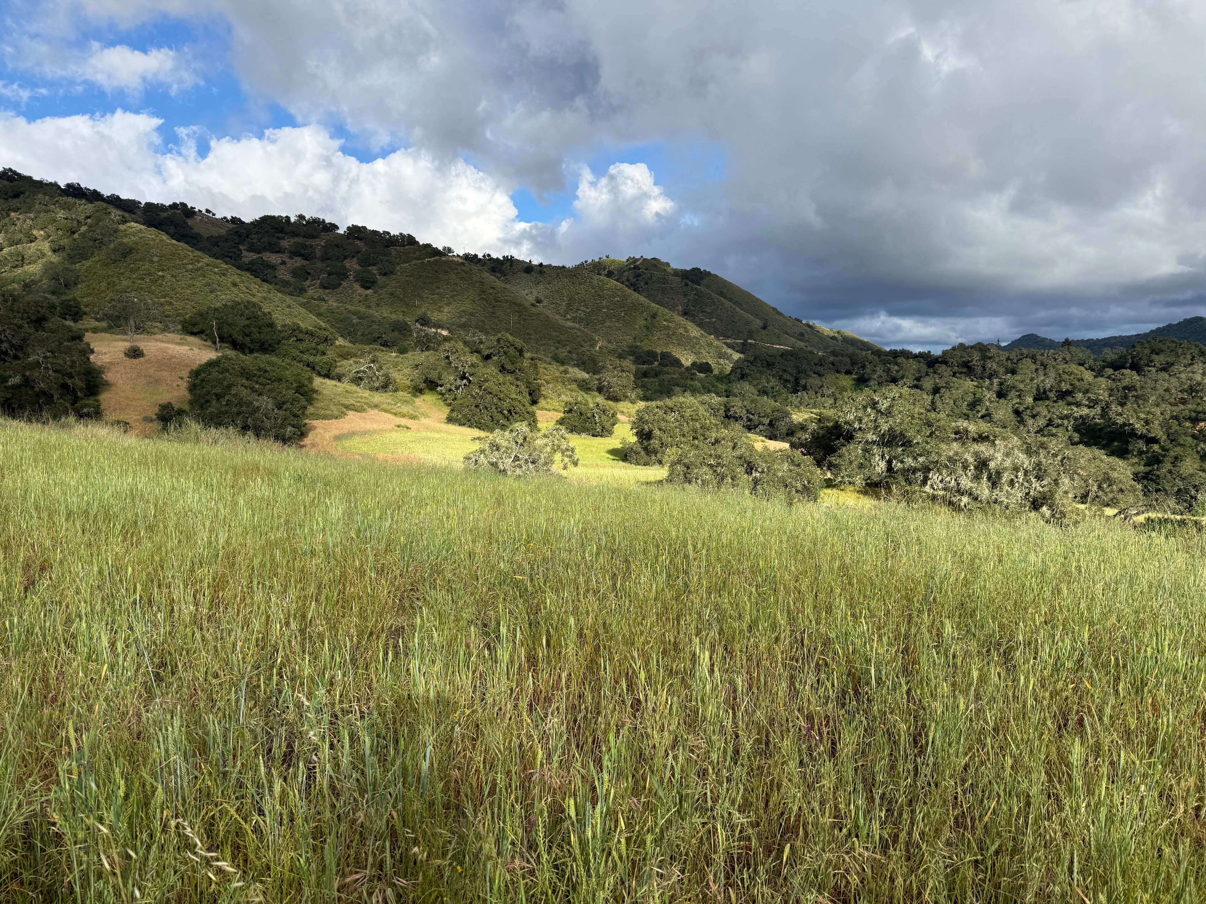 200 acres of productive coastal California range