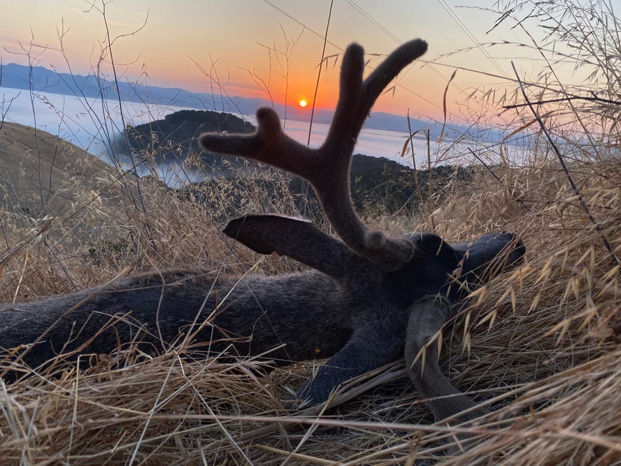 Limited Private Land Hunts