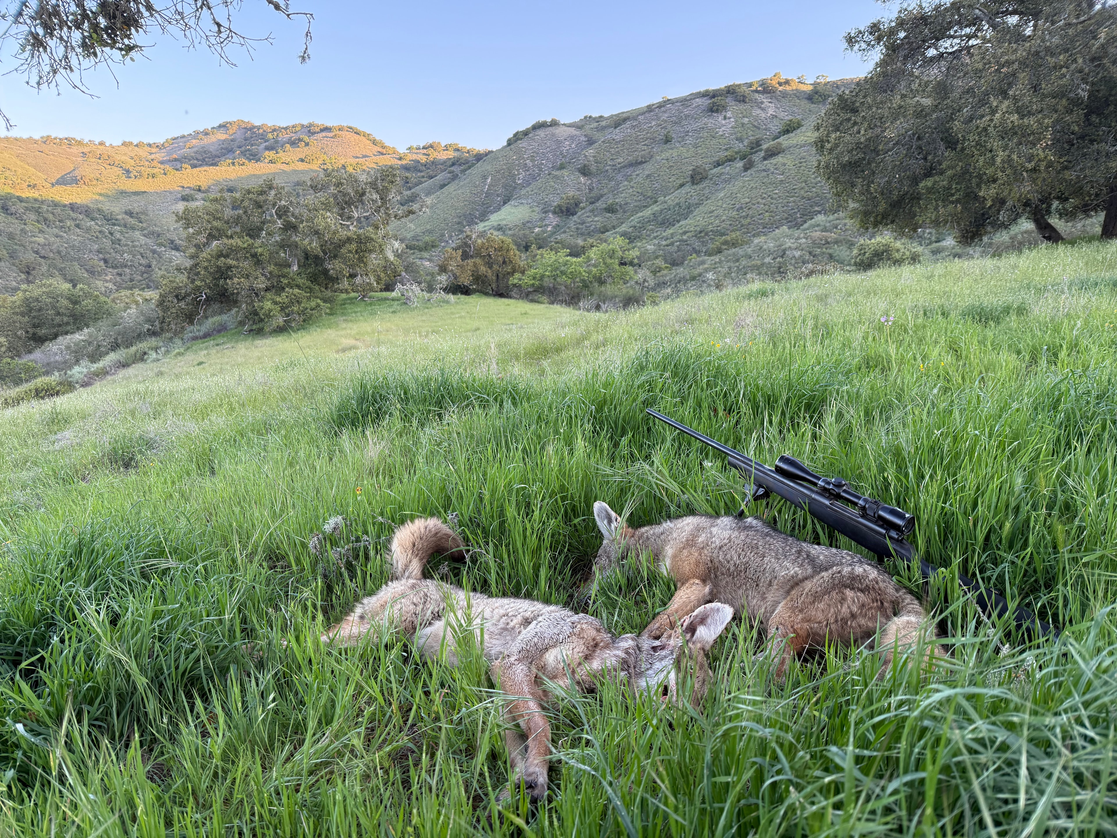 Hunt guide on Zimmerman Ranch