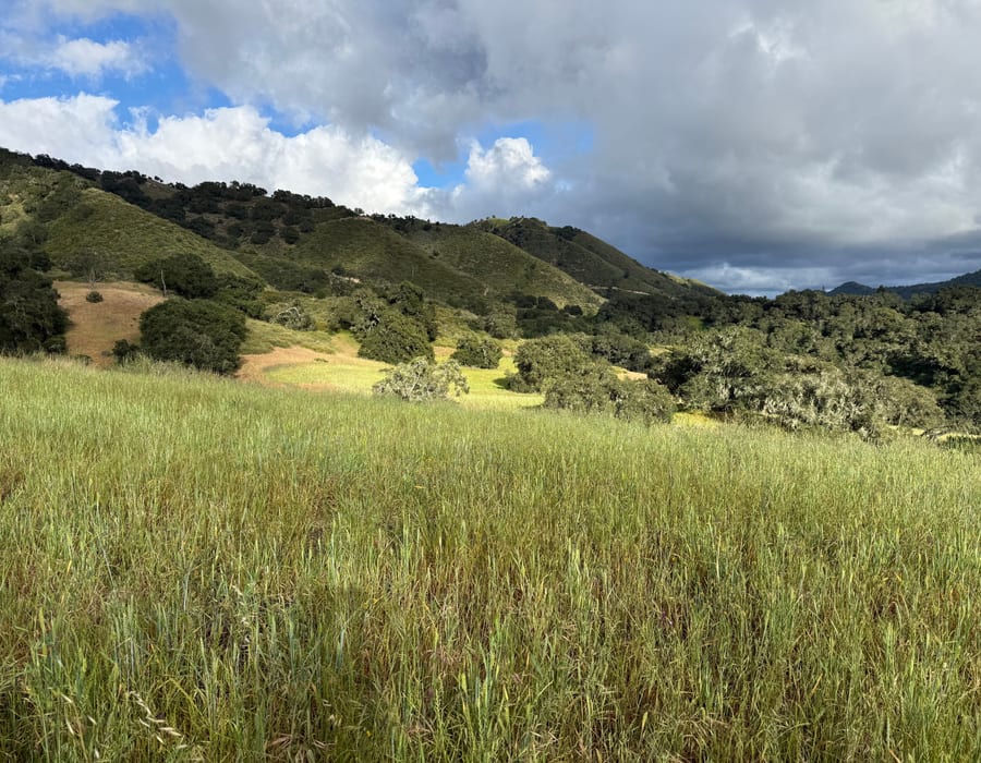 Zimmerman Ranch land — open pasture and western sky